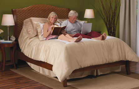 Classic Model Electric Therapeutic Bed