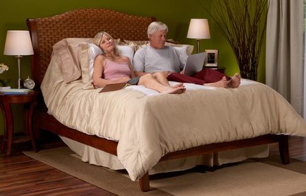 Classic Model Electric Therapeutic Bed