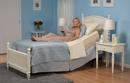 Economy Model Electric Bed