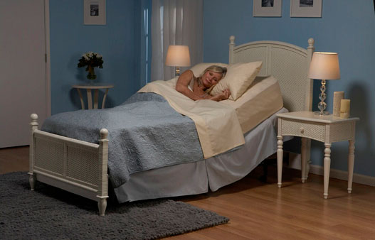Economy Model Electric Bed