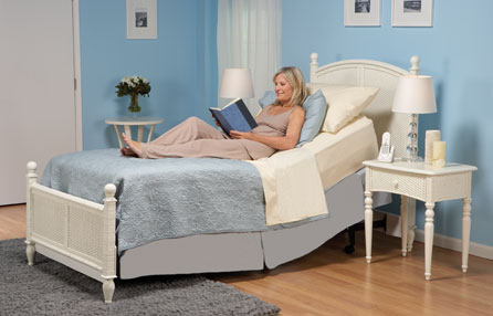 Economy Model Electric Bed
