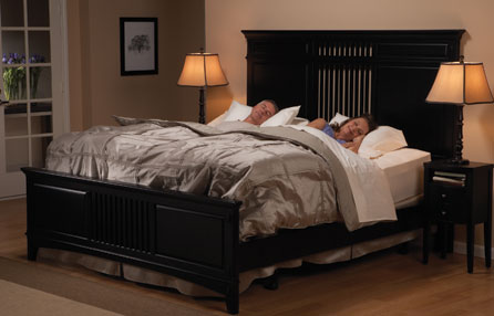 Premier Model Power Bed