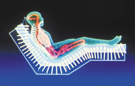 spine-support-bed