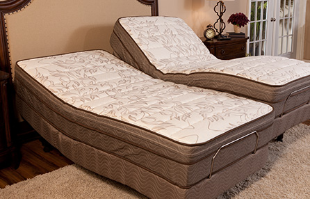 Premier Model Power Bed