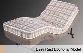 Economy Model Electric Bed