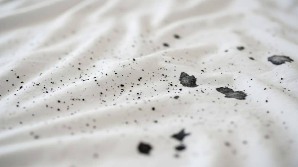 All Causes of Black Sheet Spots- Beyond Bed Bugs