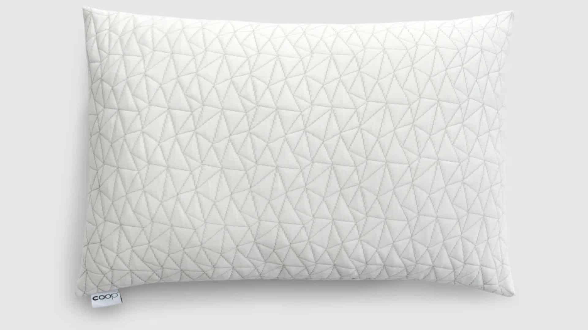 Coop Sleep Goods Adjustable Pillow