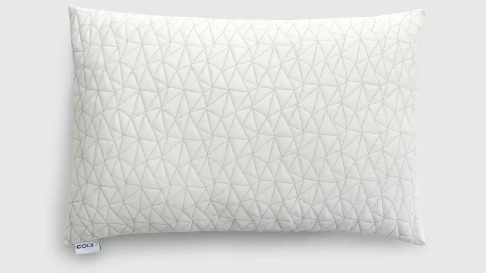 Coop Sleep Goods Adjustable Pillow