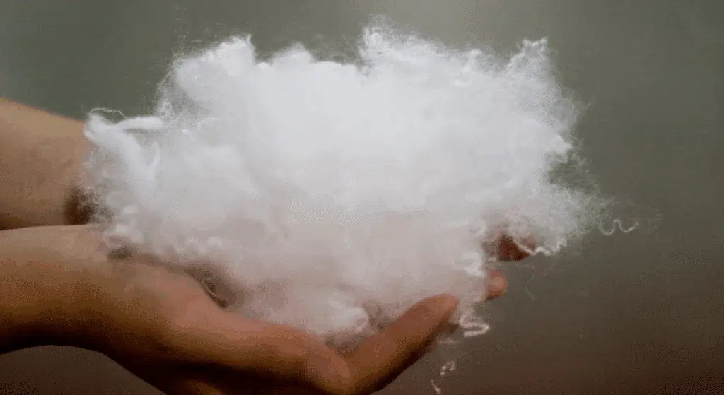 how-to-choose-between-down-and-down-alternative