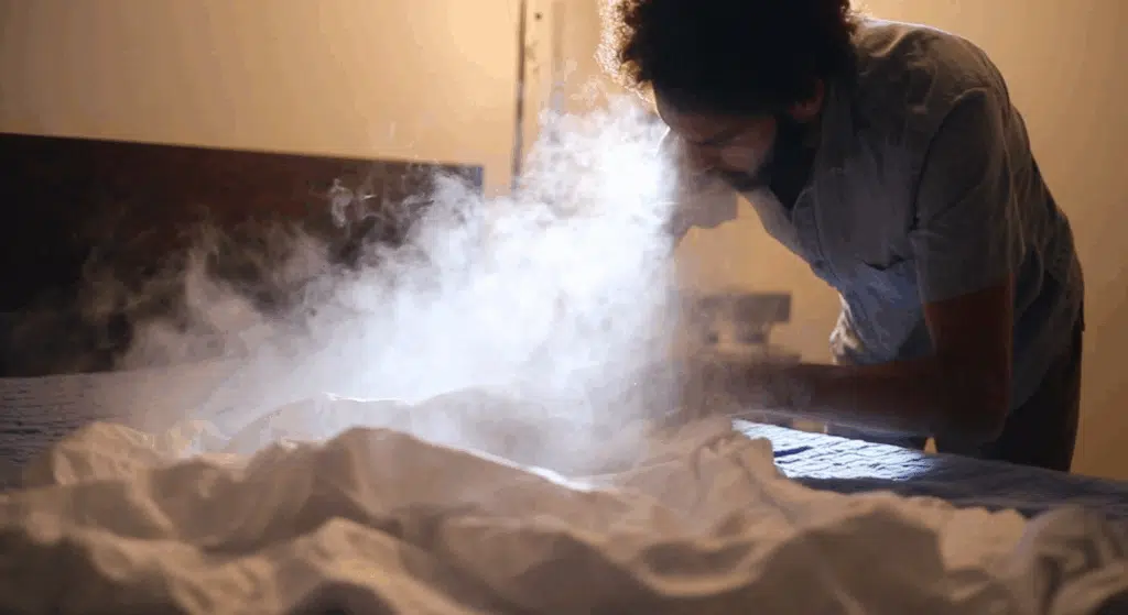 what kills flea eggs instantly