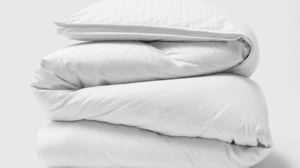 riley white goose Down comforter