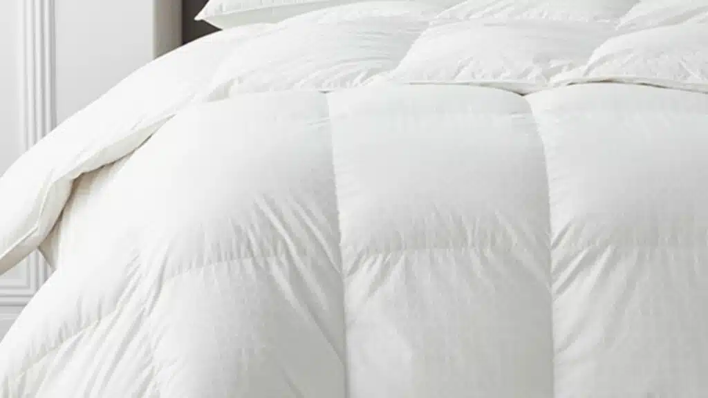 the company store legends luxury royal Down comforter