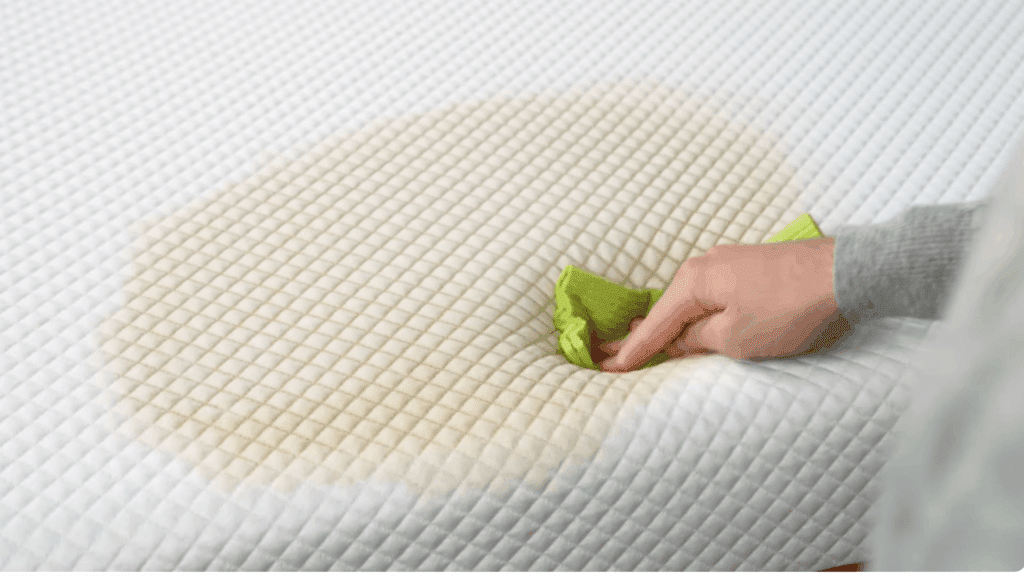 Treat Fresh Liquid Stains Immediately