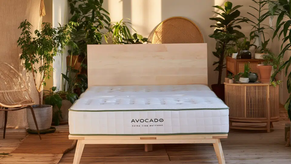 avocado green mattress