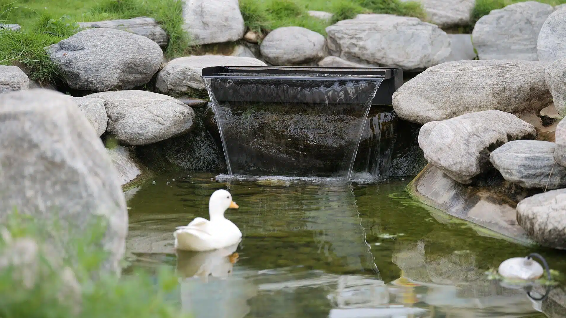 Why Pond Waterfall Kits Are Redefining Natural Gardens in 2026