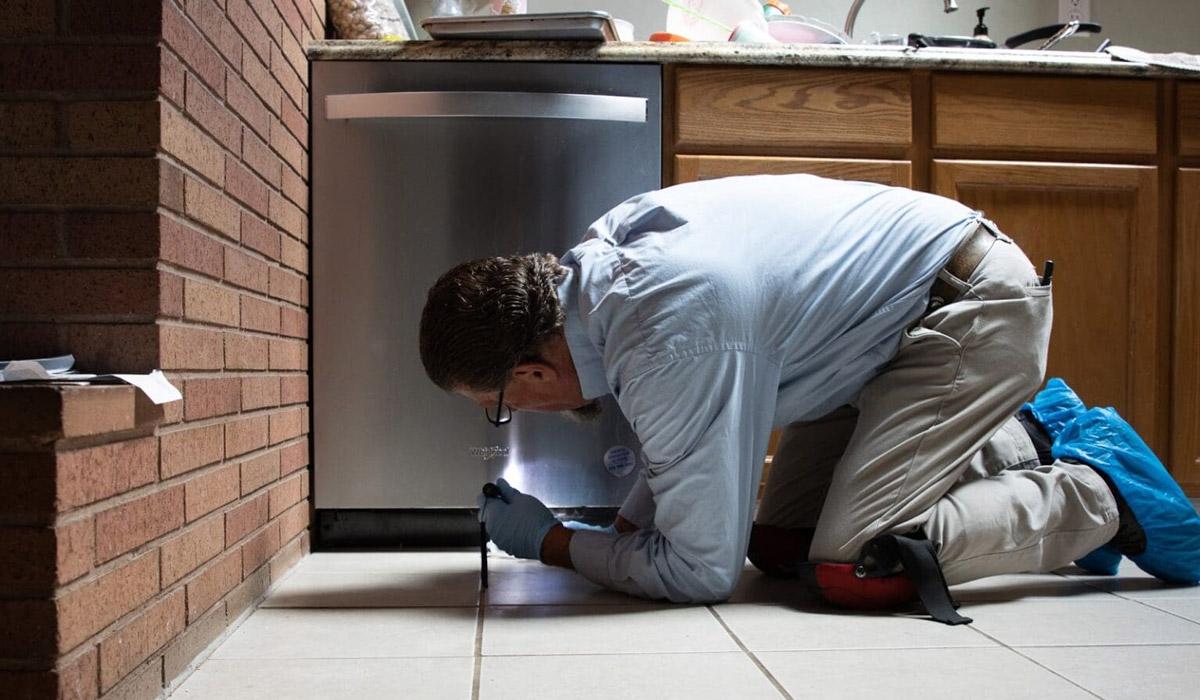 Pest control professional conducting kitchen inspection