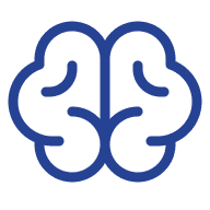 Brain
