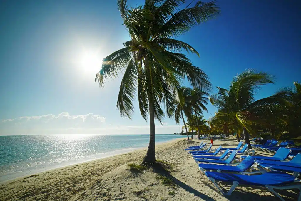 The Circadian Reset: Why the Caribbean Sun is Your Best Sleep Aid
