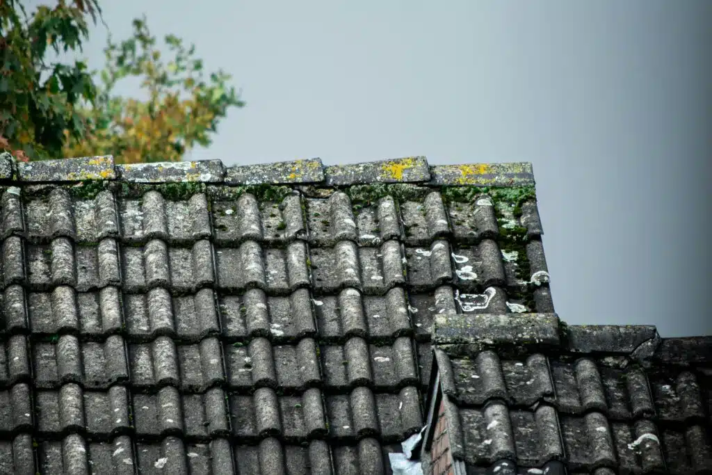 How to Spot Early Roof Damage Before It Becomes a Full Replacement