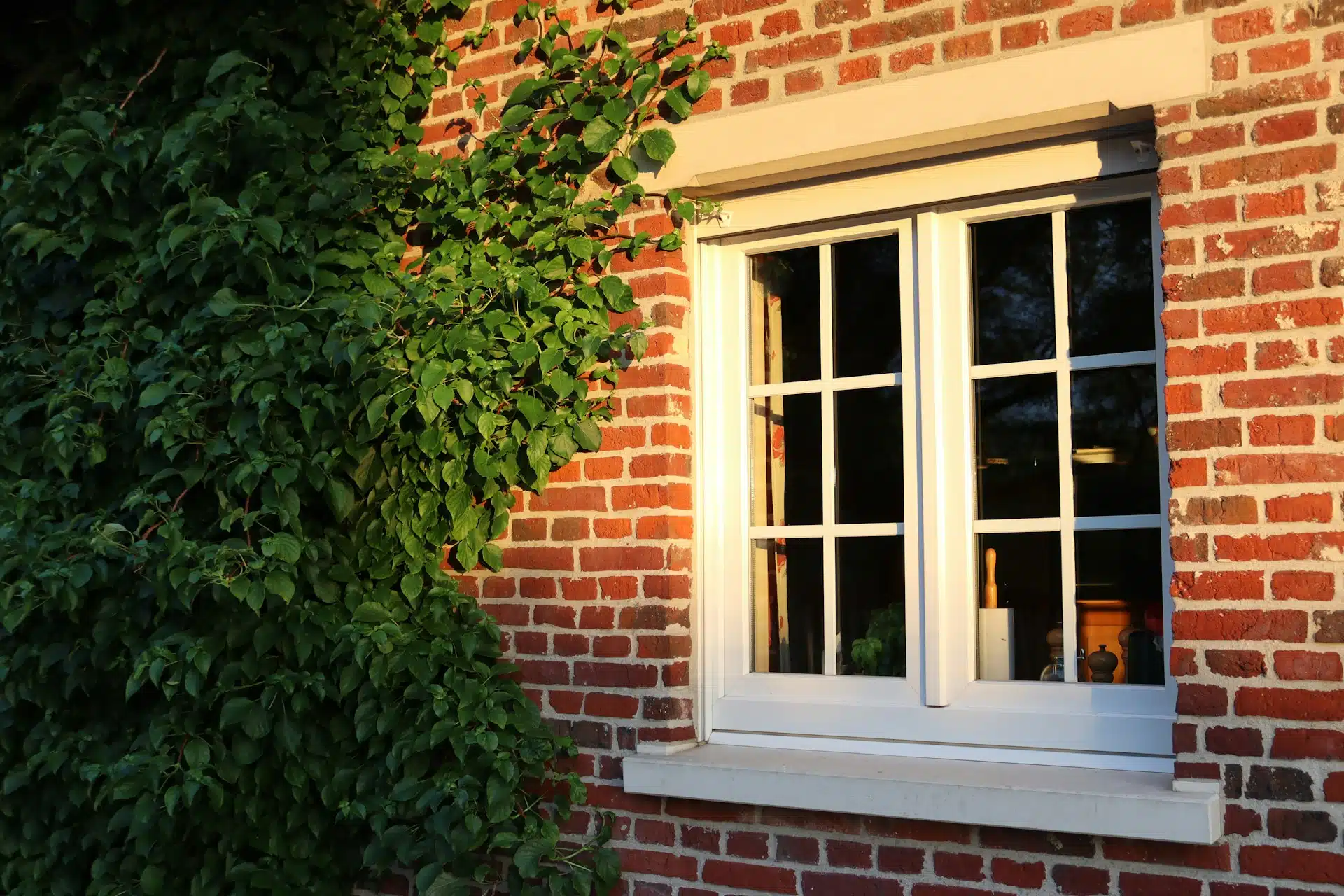 Why Your Investment into Double Glazing Timber Windows Pays Off