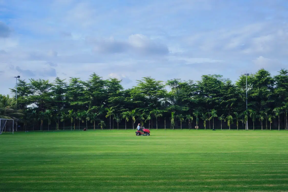 Home Comfort Beyond Four Walls: Why the Garden Matters More Than Most People Think