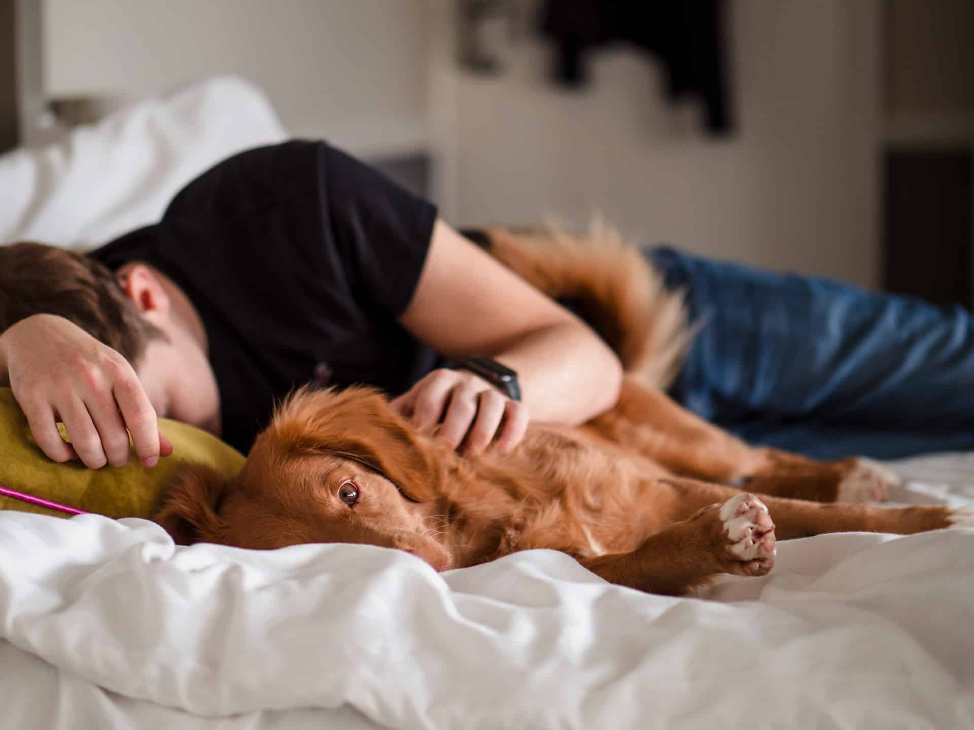 Do Dogs Actually Help You Sleep Better? What the Science Says
