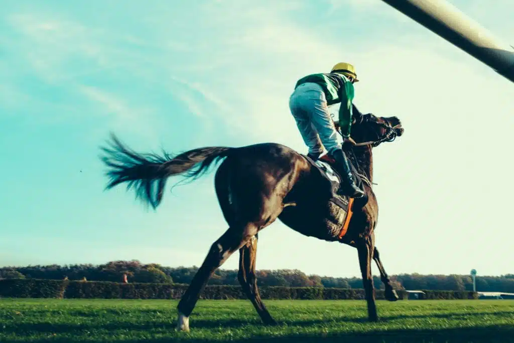What Champion Racehorses Can Teach Us About Getting a Better Night’s Sleep