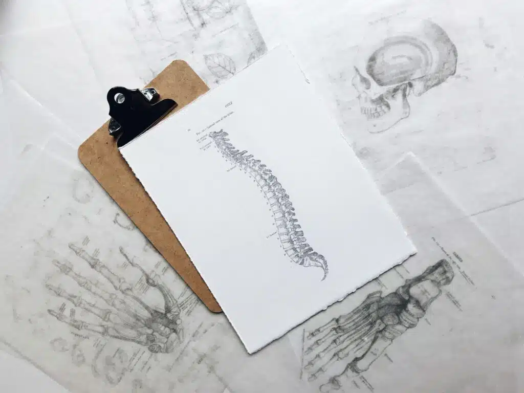 The Connection Between Spinal Health and Rest