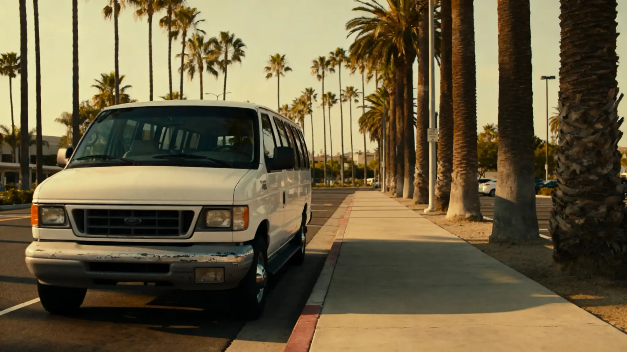 White van parked beside palm trees lining a sunny road