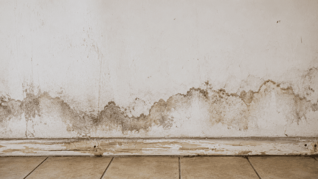 Water-damaged wall with mold stains, peeling baseboard, and tiled floor.