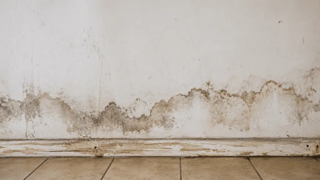 Water-damaged wall with mold stains, peeling baseboard, and tiled floor.