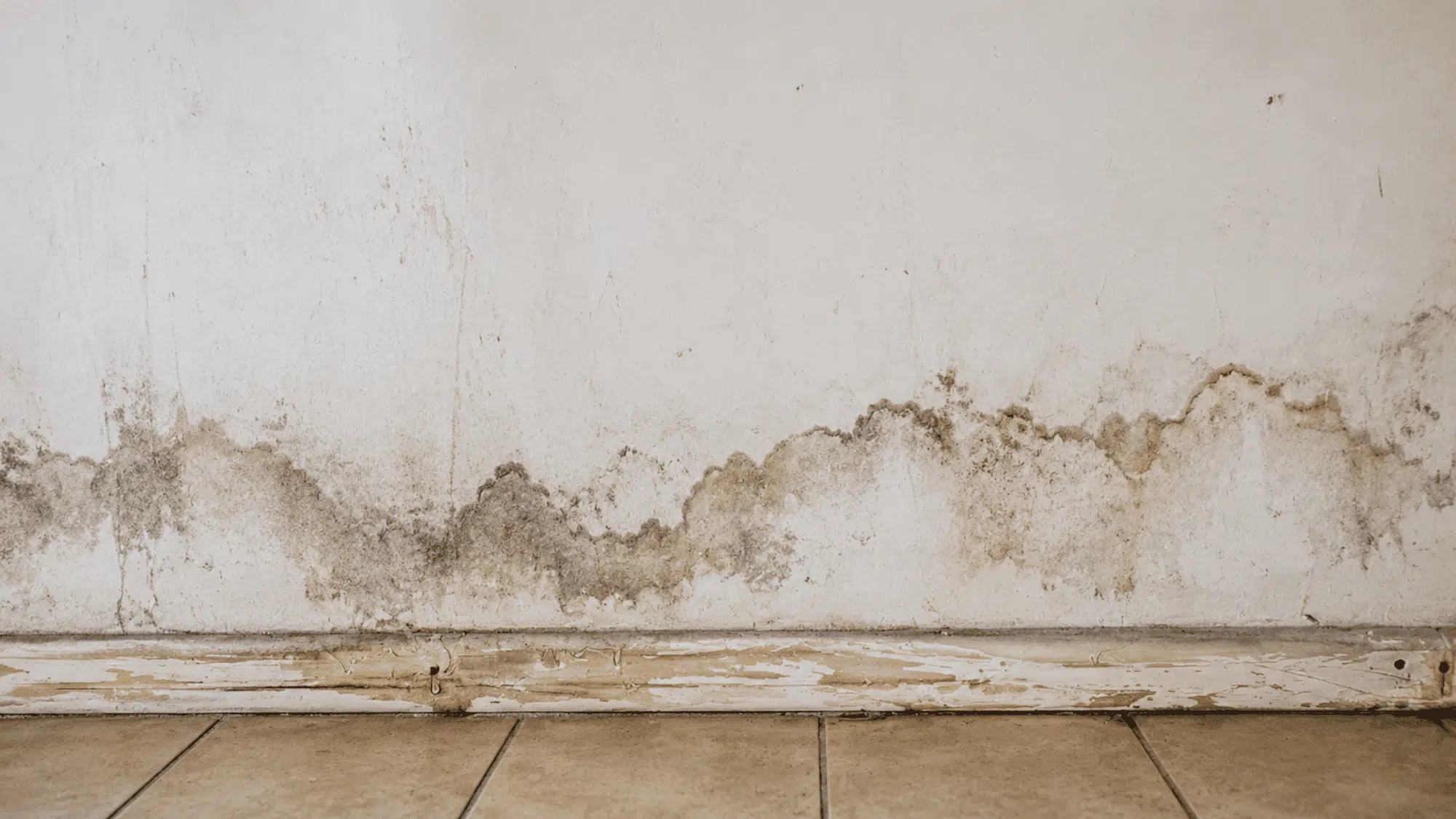 Water-damaged wall with mold stains, peeling baseboard, and tiled floor.