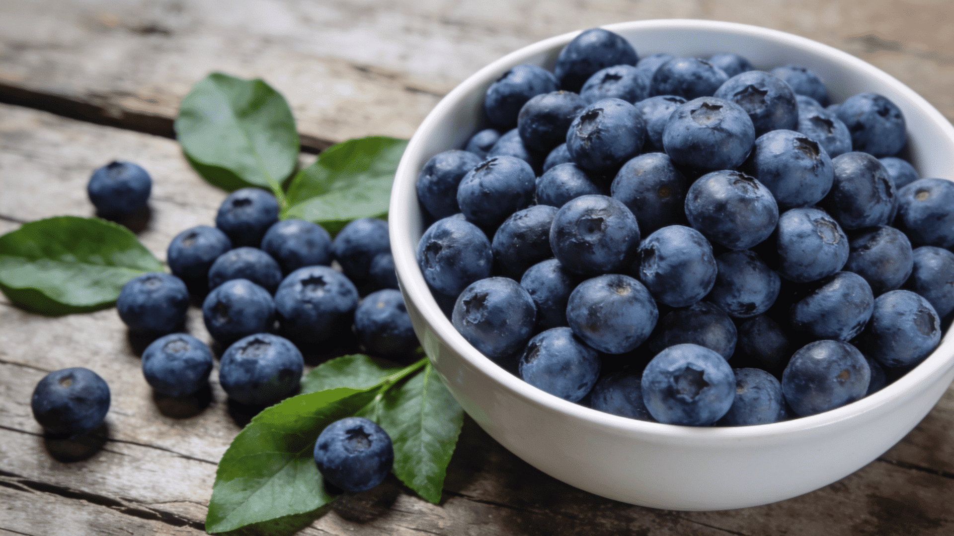 fresh blueberries in a white bowl with green leaves on a wooden table