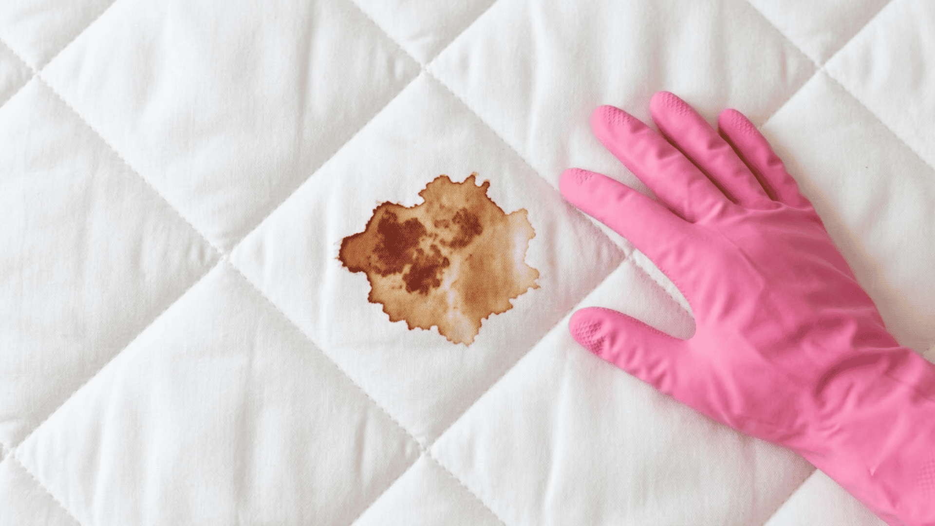 irregular dried blood stain on a white quilted mattress with a pink gloved hand nearby