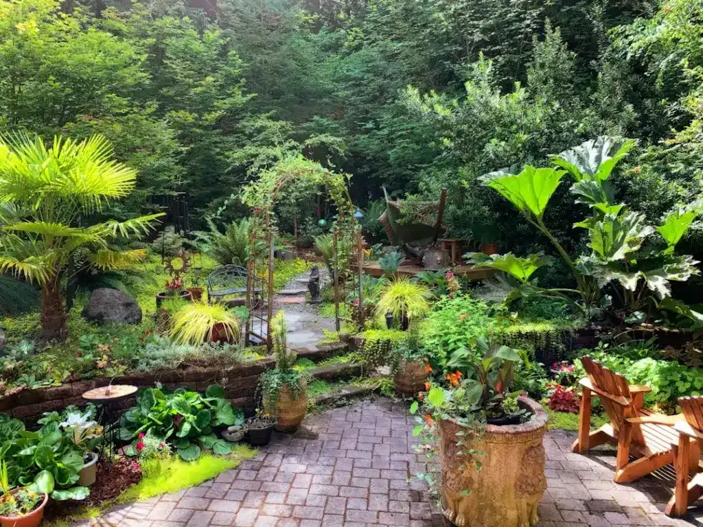 Lush garden with various plants, stone path, and wooden chairs in a sunlit outdoor setting