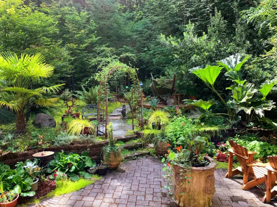 Lush garden with various plants, stone path, and wooden chairs in a sunlit outdoor setting