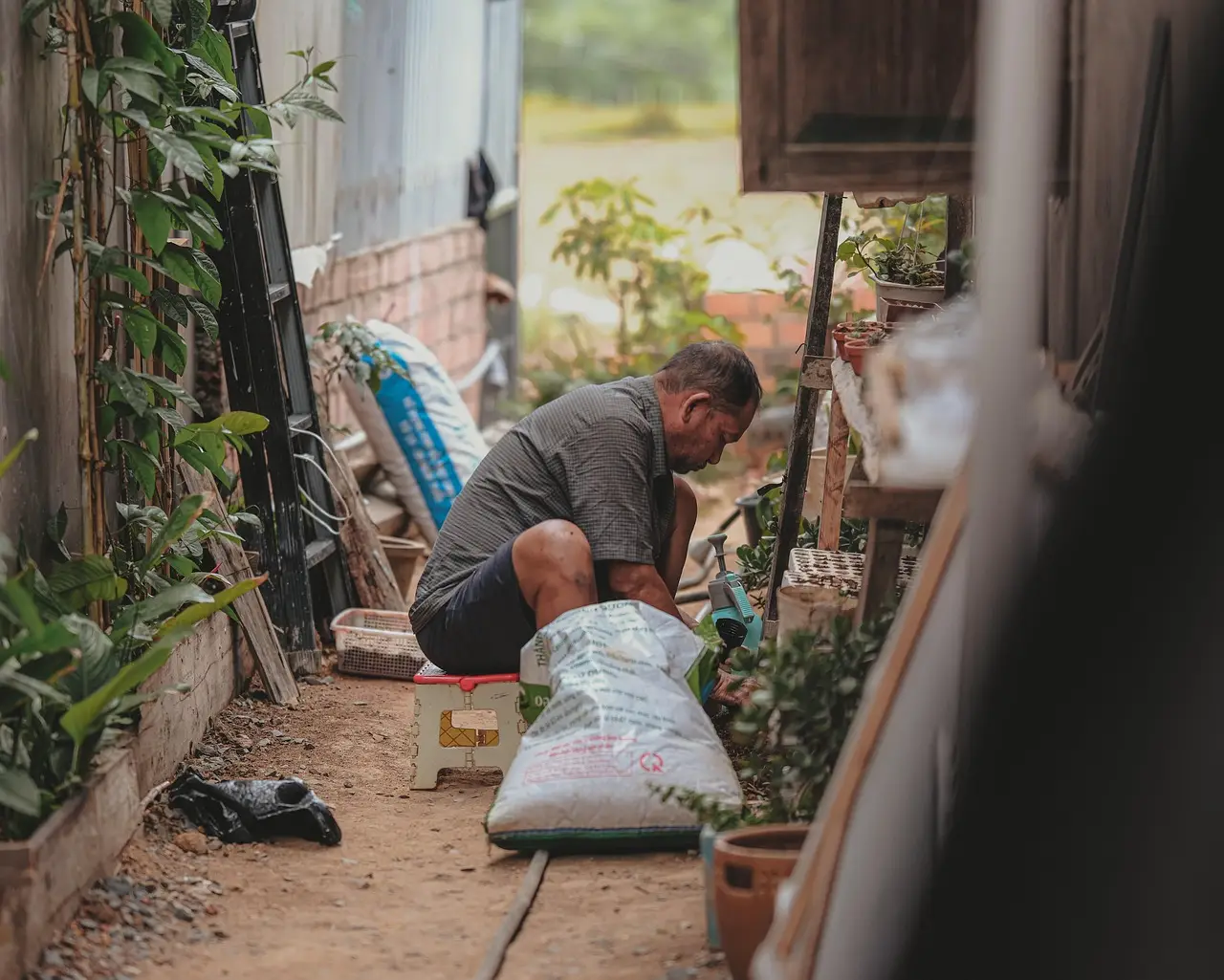 Man tending plants in narrow outdoor garden with bags of soil and tools nearby